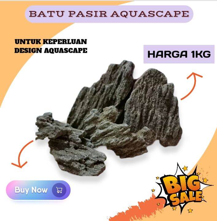 Batu Pasir Aquascape Kg Lazada Indonesia