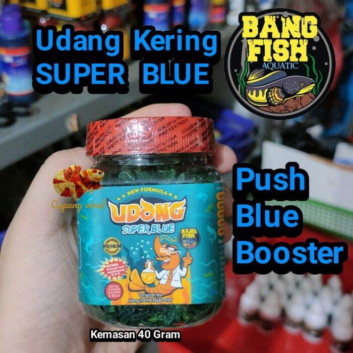 Udang Kering Super Blue Bang Fish Aquatic Blue Booster Warna Lazada