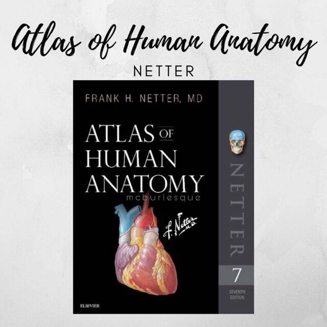 Atlas Of Human Anatomy Th Edition By Netter Lazada Ph