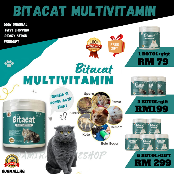 Originalvitamin Kucing Ready Stock Bitacat Vitamin Kucing Lazada