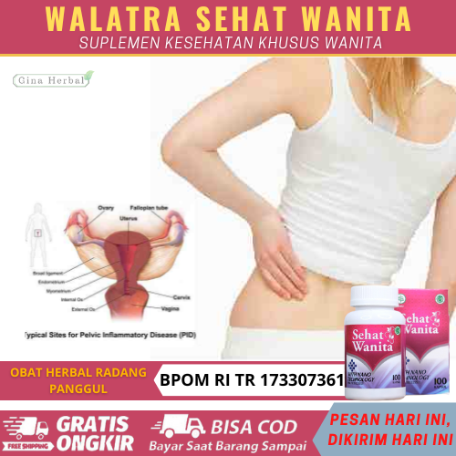 Obat Herbal Radang Panggul Infeski Radang Panggul Nyeri Pada Panggul