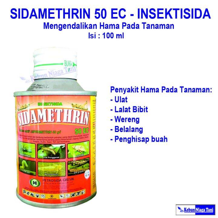 Sidamethrin Ml Pestisida Sidametrin Obat Pembasmi Wereng