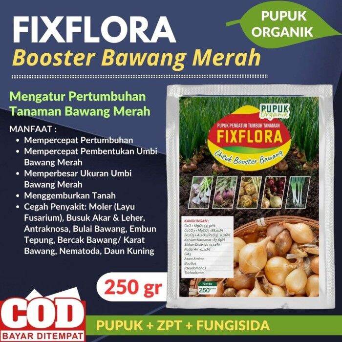 Pupuk Organik Booster Umbi Bawang Merah Fixflora Pelebat Bawang Merah