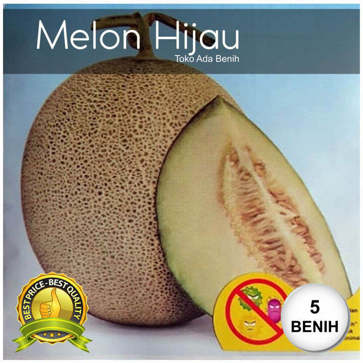 Benih Biji Melon Hijau Hibrida Biji Lazada Indonesia