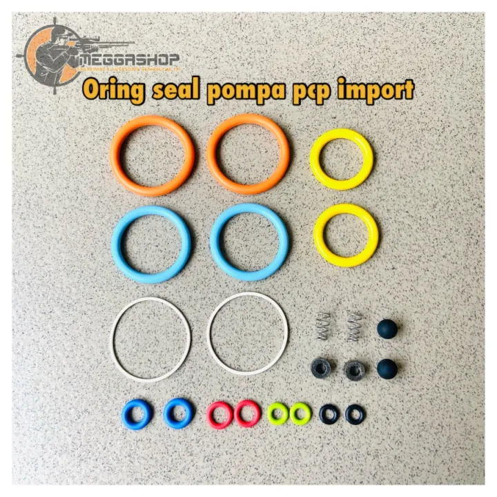 Oring Set Pompa Pcp Lengkap Oring Hand Pump Pcp Lazada Indonesia