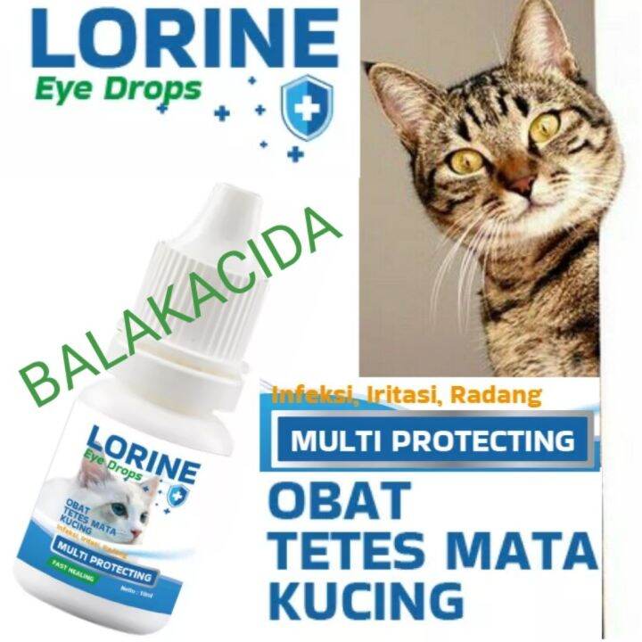 LORINE EYE DROPS 10ml Obat Tetes Mata Kucing Anti Infeksi Iritasi