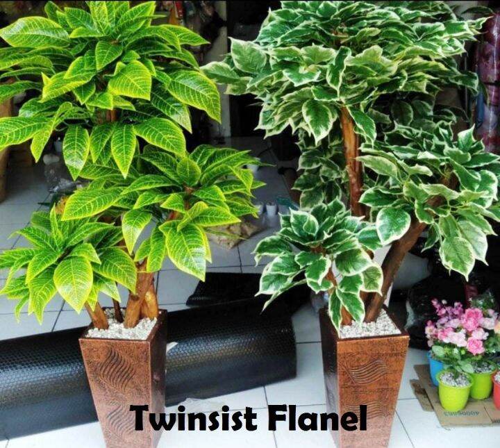 TERMURAH Pohon Bonsai Sinfu Plastik Artificial Palsu Tinggi 120 Cm