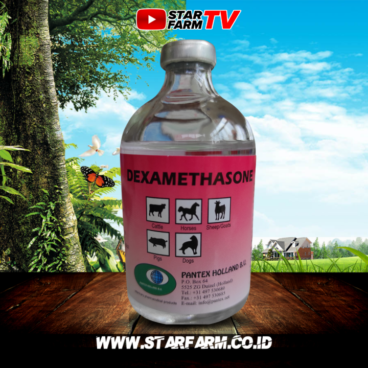 Dexamethason Ml Pantex Holland Star Farm Lazada Indonesia