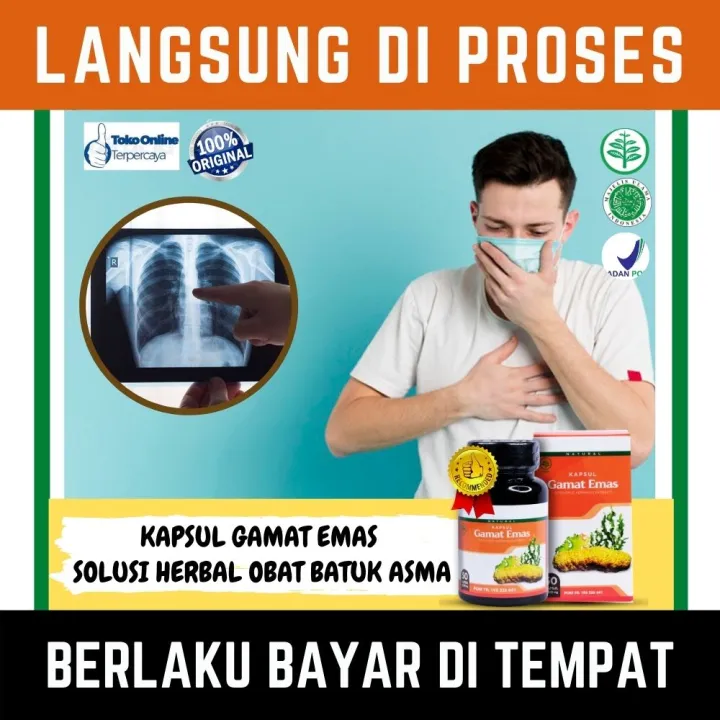 Obat Batuk Batuk Asma Dan Paru Paru Alami Batuk Berdahak Kering