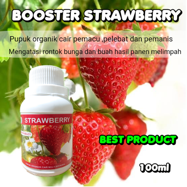 Pupuk Booster Strawberry Perangsang Buah Agar Cepat Berbuah Lebat Besar