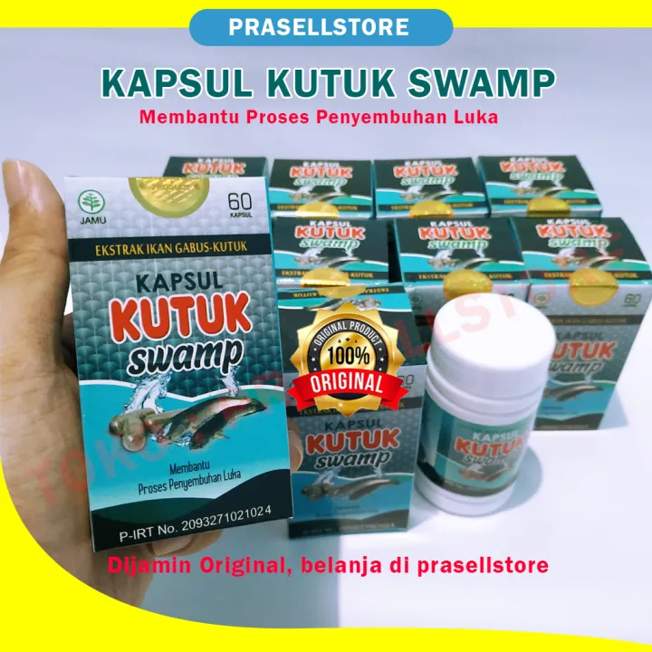 Kapsul Kutuk Ekstrak Albumin Ikan Gabus Original Lazada Indonesia