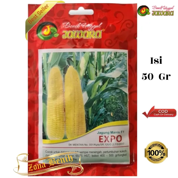 Bibit Jagung Manis Hibrida EXPO Isi 50 Gram Benih Jagung Manis F1