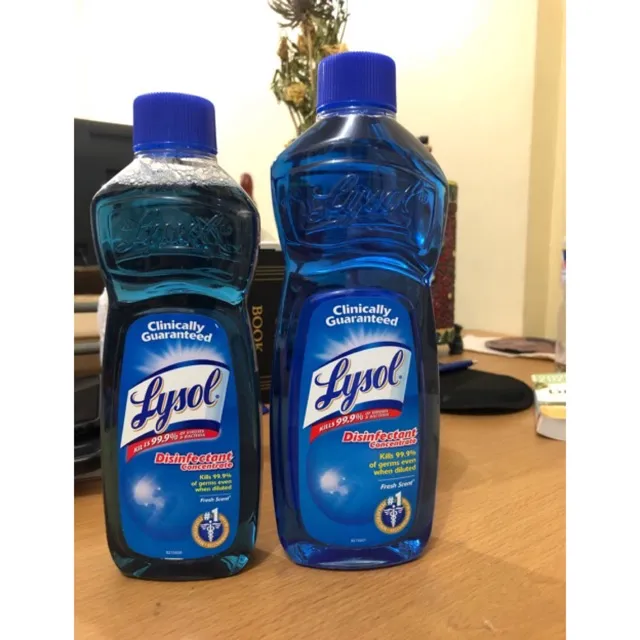 Practical Lysol Ml And Ml Concentrate Fresh Scent And Pine