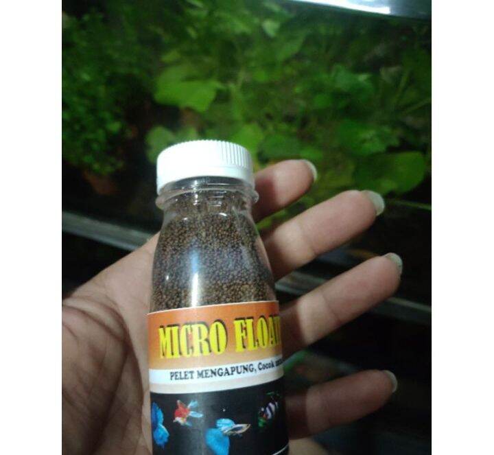 Micro Pellets Pakan Ikan Kecil Aquascape Aqurium Lazada Indonesia