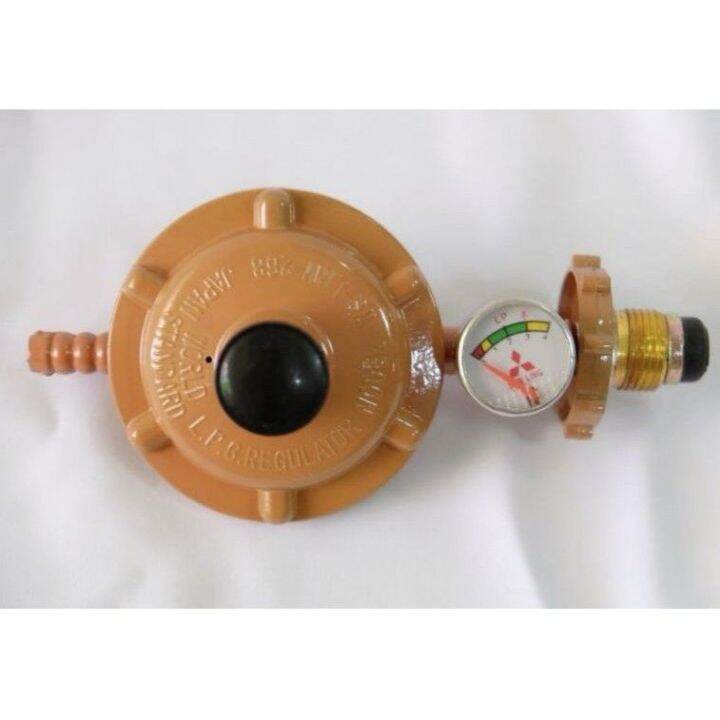 World Standard Ws Lrm G Lpg Regulator With Gauge Lazada Ph