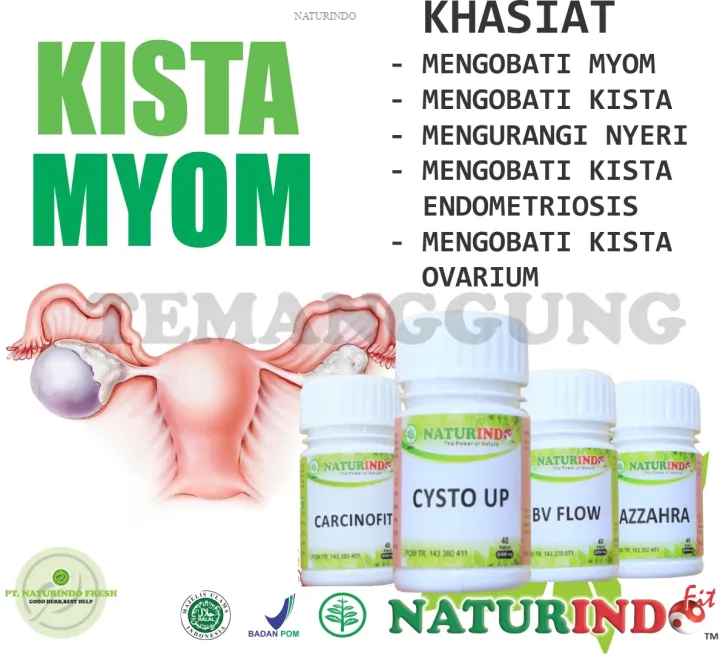 Obat Kista Cysta Miom Myom Ovarium Bartholin Endometriosis Ganglion