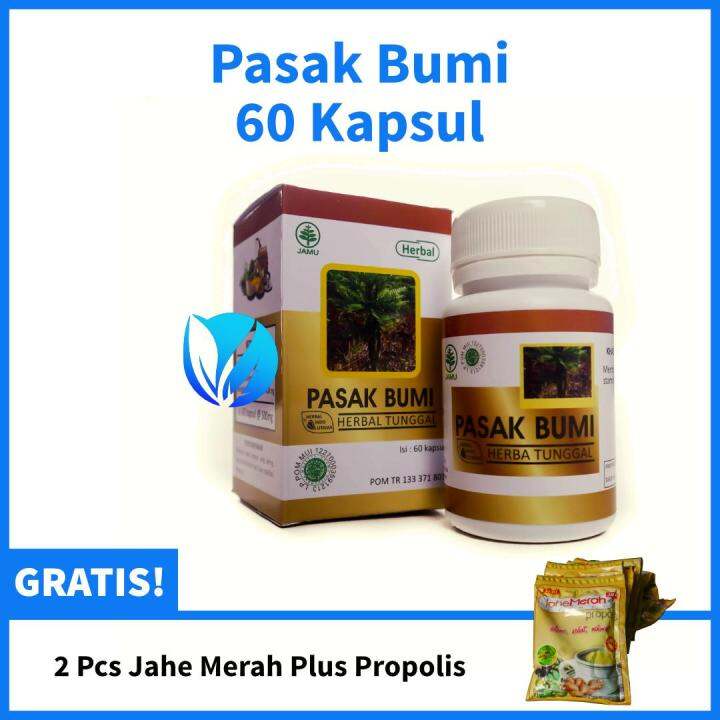 KAPSUL HIU PASAK BUMI Vitamin Multivitamin Penambah Kesuburan Pria