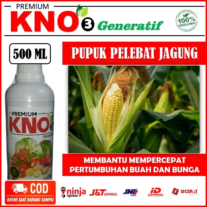 OBAT PELEBAT JAGUNG Pupuk Organik KNO3 Generatif Pupuk Pelebat Padi