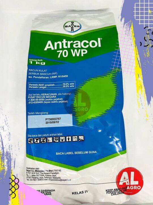 Kg Bayer Antracol Wp Propineb Racun Kulat Fungicide Cili