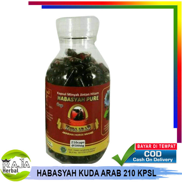 HABASYAH PURe Kapsul Minyak Jintan Hitam 200 Kapsul Lazada Indonesia