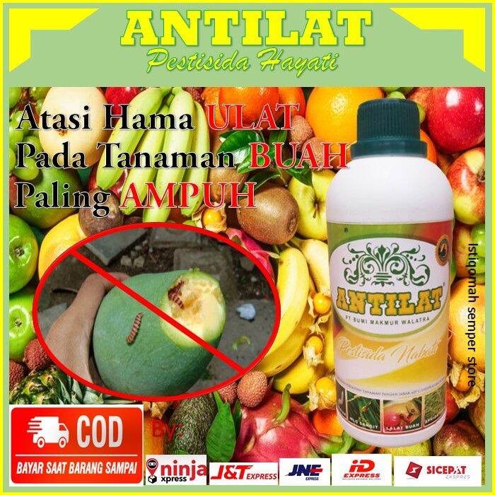 PROMO Obat Hama ULAT Paling AMPUH ANTILAT Pestisida Nabati Mampu