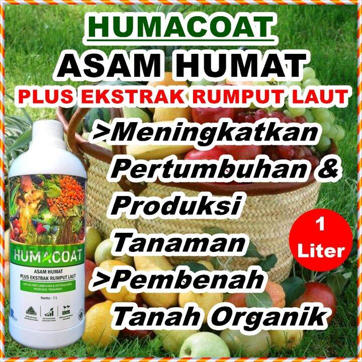 Humacoat Liter Asam Humat Plus Ekstrak Rumput Laut Seaweed Pupuk