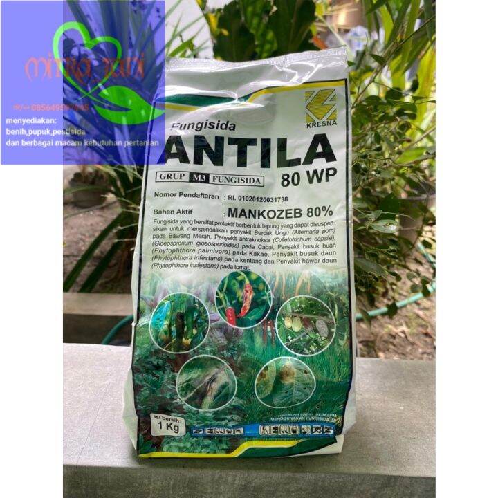 Fungisida Mankozeb ANTILA 80 Wp 1kg Lazada Indonesia