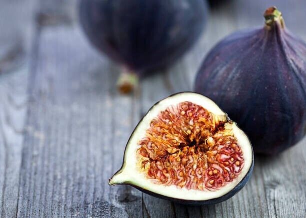 Organic Black Mission Fig Tree Seeds Lazada PH