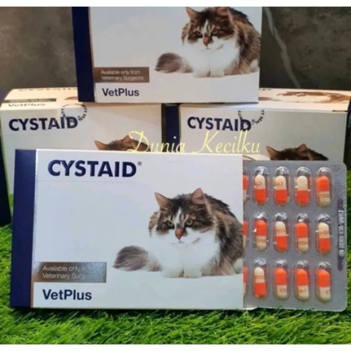 Cystaid Cat Plus For Urinary Tract Masalah Kencing Kucing Per