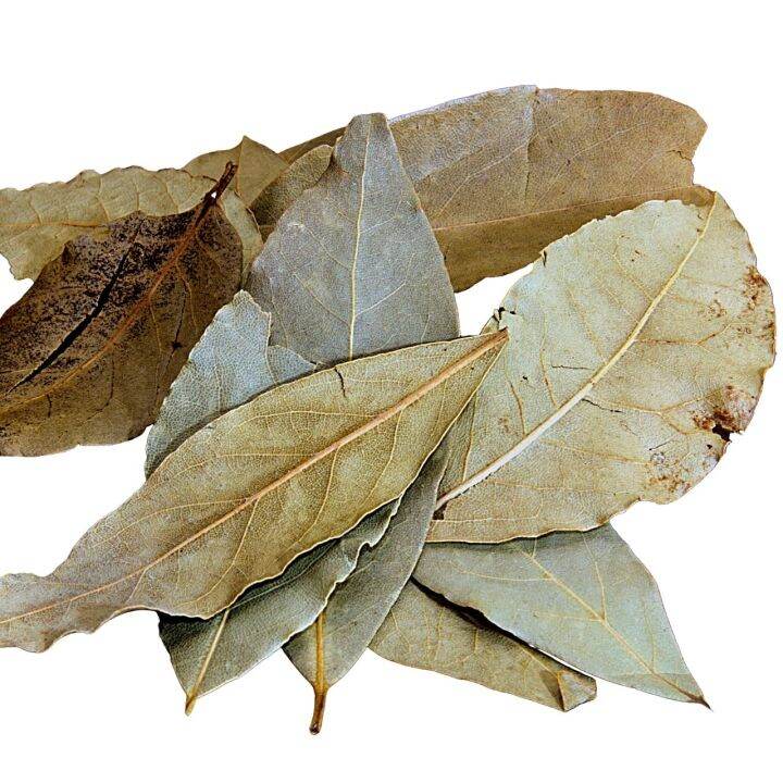 Bay Leaves 10G 20G Daun Salam Kering Dried Bay Leaves Daun Bay