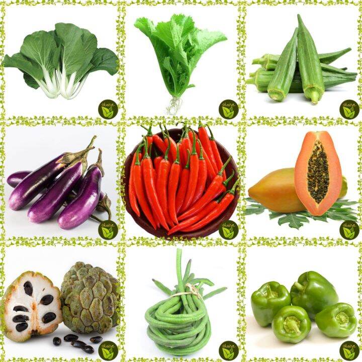 Binhi Combo In Pack Seeds For Planting Pechay Mustasa Okra Eggplant