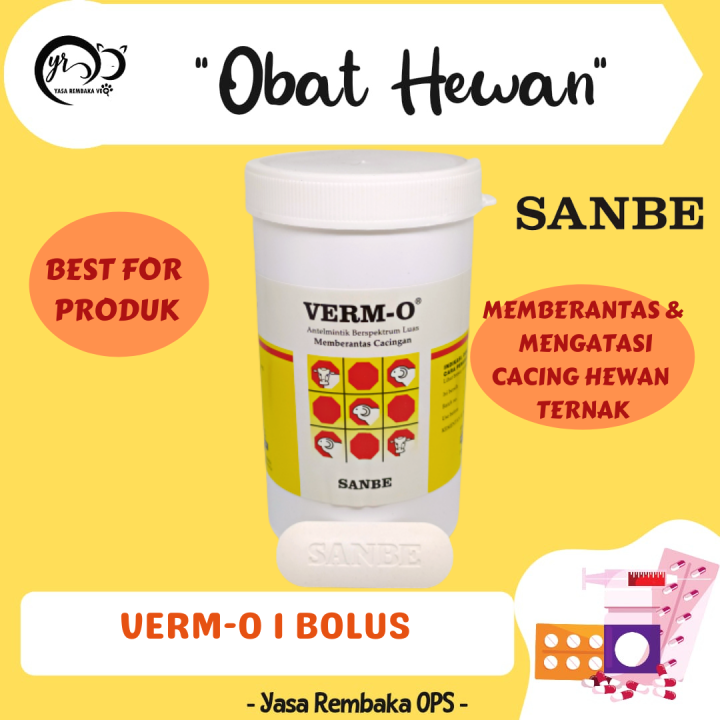 Verm O Bolus Ecer Obat Cacing Hewan Ternak Sapi Kambing Domba