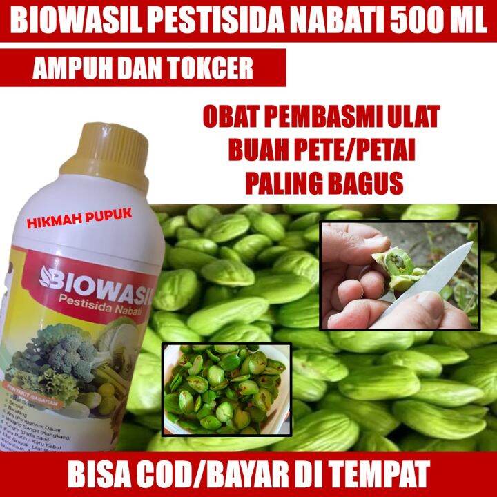 Biowasil Isi Ml Obat Hama Ulat Tanaman Petai Pete Paling Ampuh