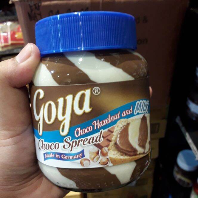 Goya Choco Hazelnut And Milk 400g Lazada PH