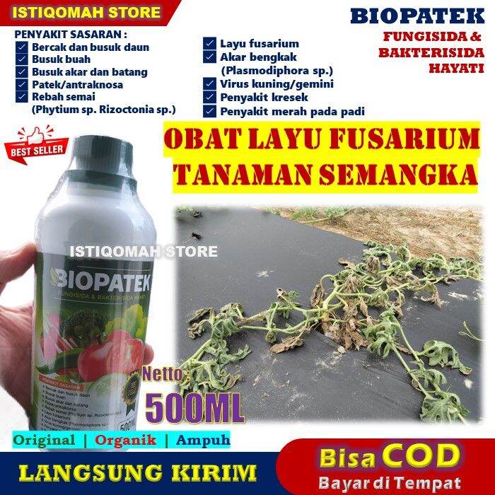 Obat Layu Fusarium Daun Tanaman Semangka Ampuh BIOPATEK 500ML Fungisida