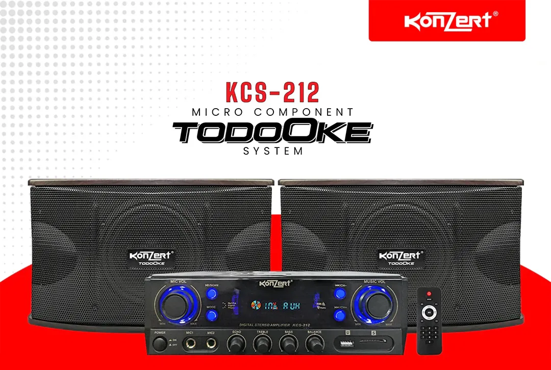 Konzert Todooke Kcs W Way Woofer Micro Component Karaoke