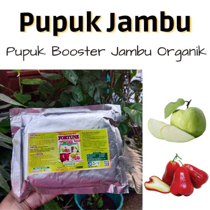 BOOSTER JAMBU Pupuk Jambu Terbaik Untuk Penyubur Dan Pelebat Tanaman