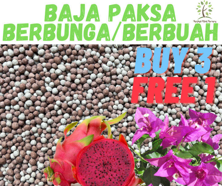 BUY 3 FREE 1 1KG BAJA PAKSA BERBUNGA BERBUAH SUPER MIX 2 IN 1 Baja