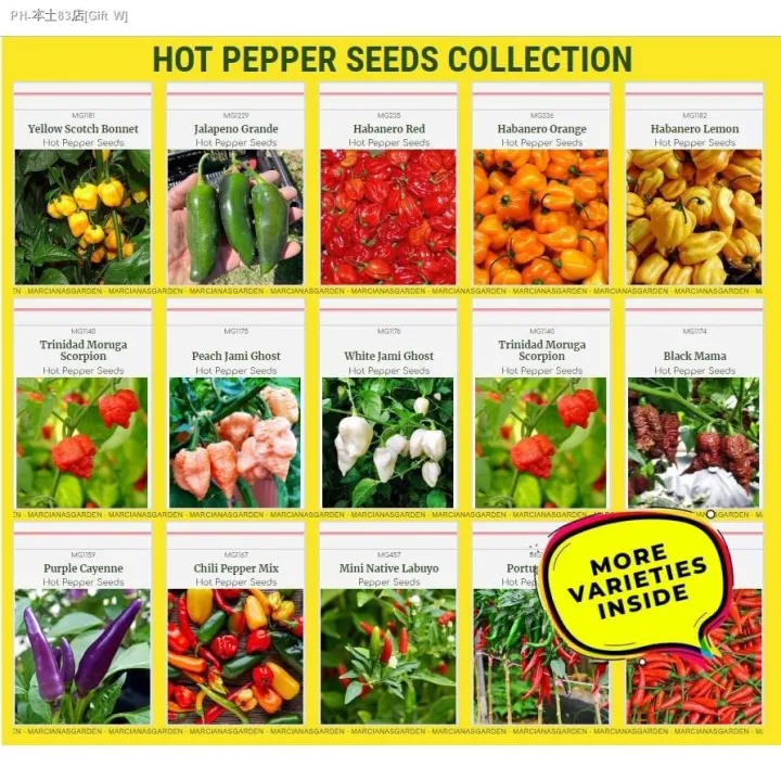 Hot Pepper Seeds Collection Chili Pepper Seeds Siling Labuyo