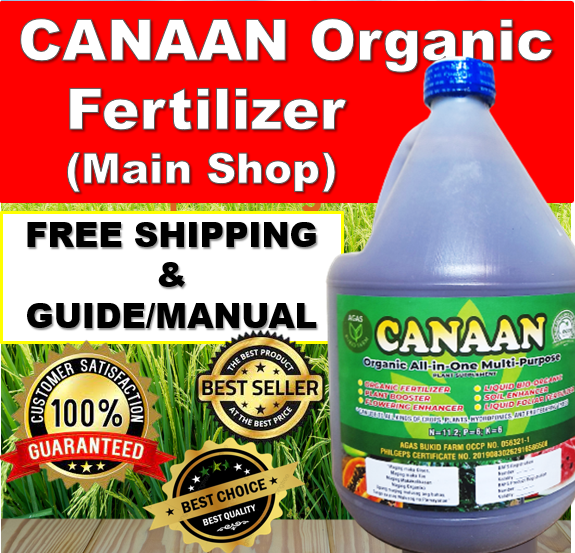 CANAAN NANO ORGANIC FOLIAR FERTILIZER 1 GALLON Lazada PH