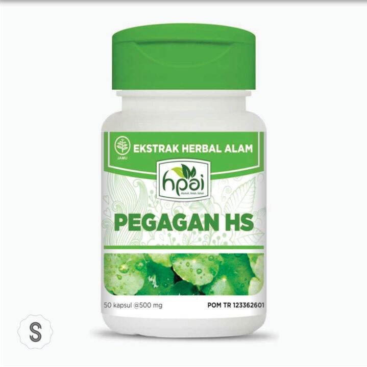 Pegagan HS HNI HPAI Melancarkan Sirkulasi Darah Isi 50 Kapsul Lazada