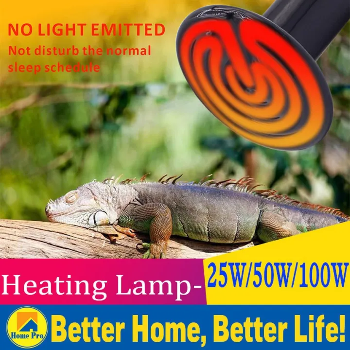 25 50 100W Pet Heating Lamp Black Infrared Ceramic Emitter Heat Light