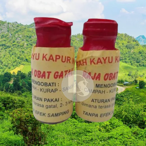 Minyak Getah Kayu Kapur Naga Original Obat Gatal Kadas Kurap Panu