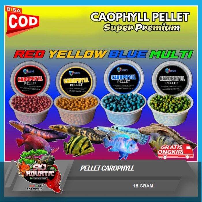 Carophyll Pellet Blue Yellow Red Multi Gram Lazada Indonesia