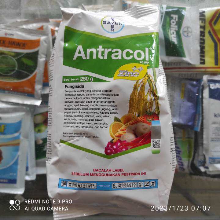 Fungisida Antracol 70 WP Zinc 250 Gram Anti Hama Jamur Lazada Indonesia