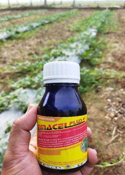 Insektisida Emacel Plus Ml Bahan Aktif Emamectin Benzoat