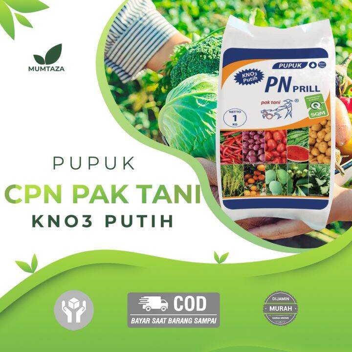 Pupuk Kno Putih Pn Prill Kg Pak Tani Tanaman Kemasan Pabrik