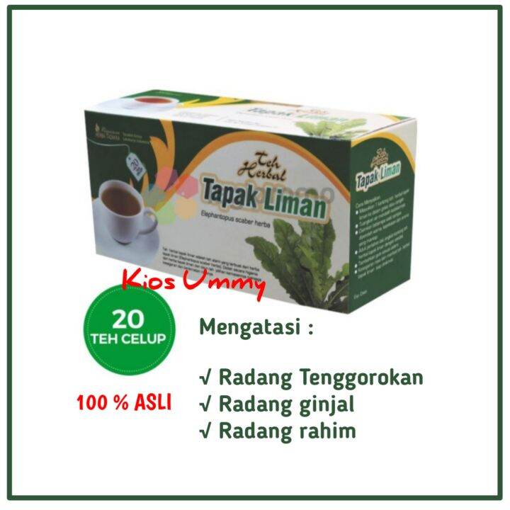 Tazakka Teh Celup Daun Tapak Liman Kantong Obat Liver Anti Radang