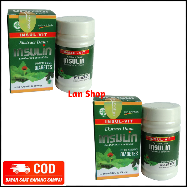 Paket 2 Botol Kapsul Ekstrak Daun Insulin Ash Shihhah Original Insulvit