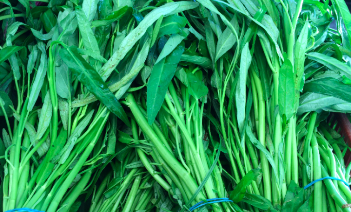 Chinese Kangkong Grams Pcs Seeds Taniya Upland Kang Kong